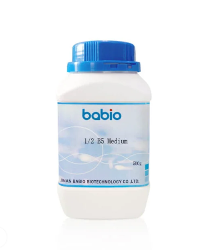 1/2 B5 Médio