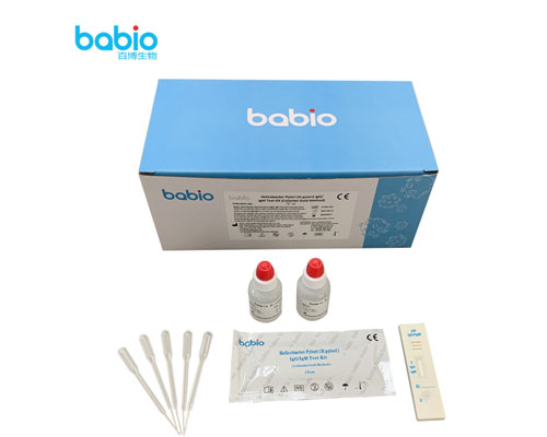 Procedimento de teste do kit de teste Helicobacter pylori (H.pylori) IgG/IgM