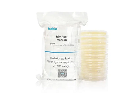 R2A Agar Medium: o padrão -ouro para monitoramento microbiano nas indústrias farmacêuticas, alimentares e cosméticas