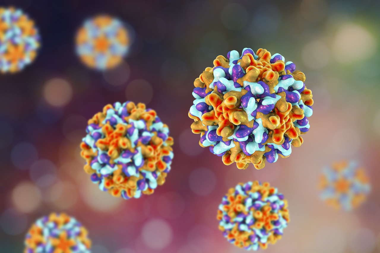 Solução de transporte confiável para microbiologia clínica: Babio's Liquid Amies Media