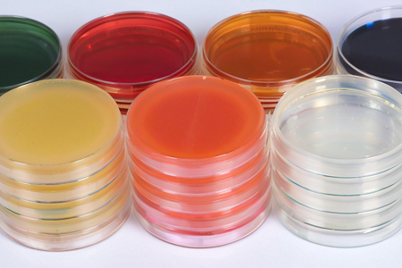 Agar de Dextrose de alta qualidade (SDA) por Babio