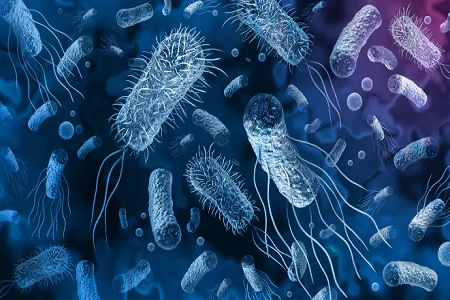Babio lança vibrio cholerae kit de detecção de antígeno rápido