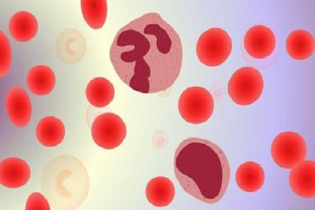 Babio aprimora o diagnóstico de infecção da corrente sanguínea com garrafa avançada de cultura de sangue