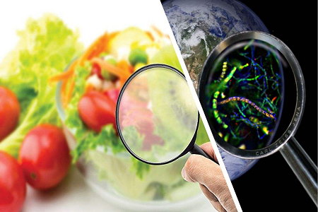 BABIO lança cassete de teste rápido de aflatoxina B1 para controle global de segurança alimentar
