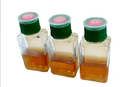 Os frascos para hemocultura BABIO suportam detecção mais rápida e confiável de infecções da corrente sanguínea