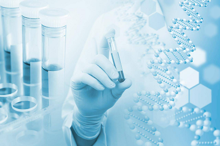 Kit de teste IgG/IgM para H. pylori: solução rápida de triagem de anticorpos