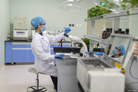 Água peptonada tamponada: um começo confiável para testes de Salmonella