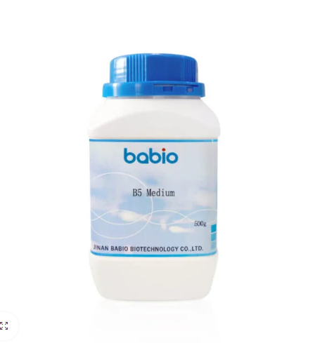 B5 Médio