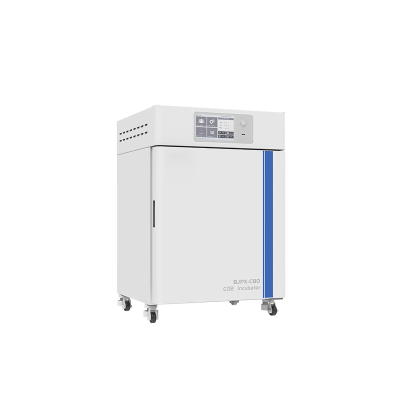 Incubadora de CO2 BJPX-C50 BJPX-C80 BJPX-C160 BJPX-C80S BJPX-C160S